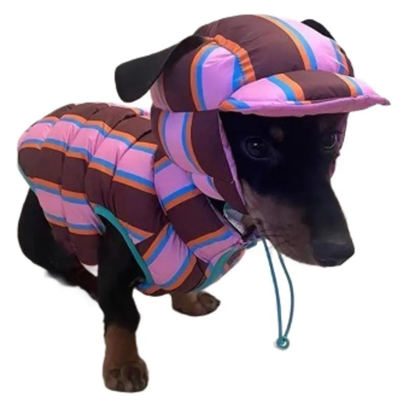 Dirty pink striped dog vest with matching hat for small dogs in winter.