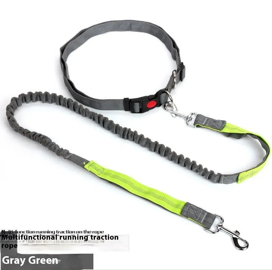 Gray and green nylon dog leash with reflective filament sling for outdoor night safety