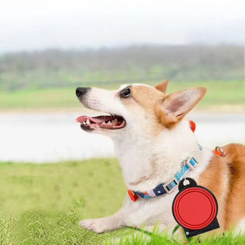 Silicone folding double pet bowl shown open and folded flat in various colours