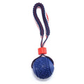 Blue rubber dog ball with rope attached, showing textured surface.