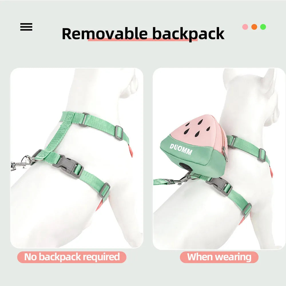 Green pet backpack and matching anti-slip chest strap set for a dog on a white background