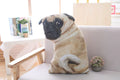 Realistic 3D simulation pug dog plush toy pillow with cotton fill and removable washable cover in 55cm size