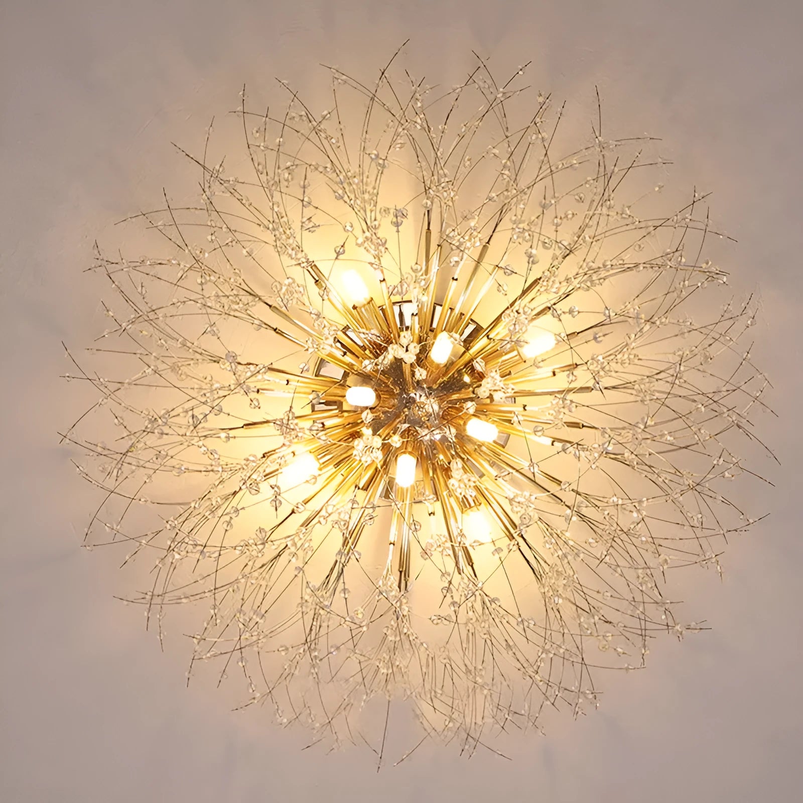 Dandelion pattern crystal ceiling lamp with wrought iron frame and chrome finish