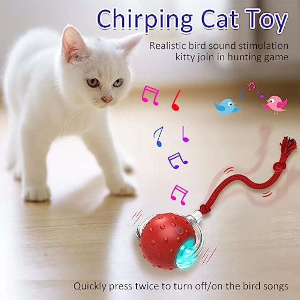Red motion-activated chirping cat toy rolling fast on carpet with kitten chasing