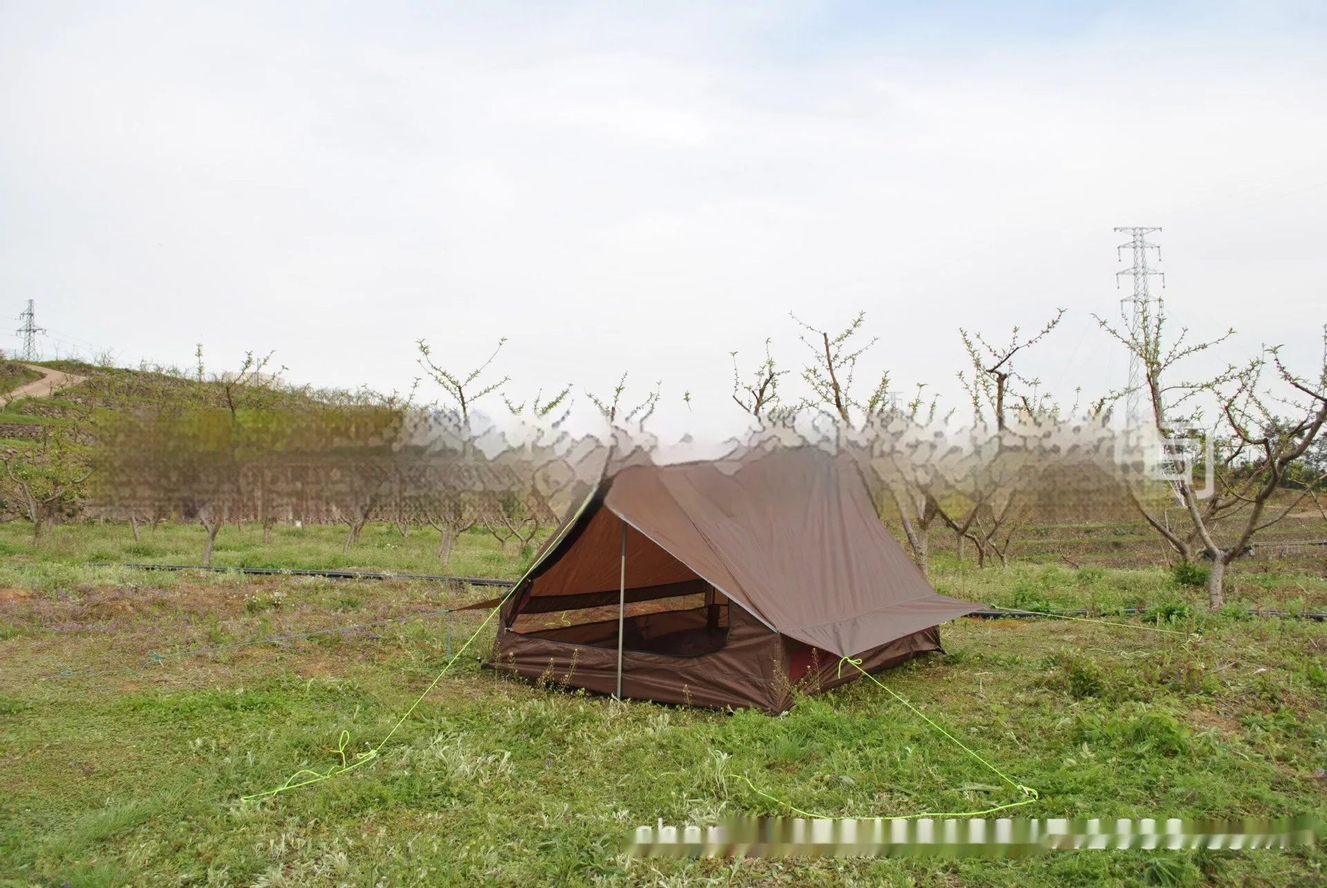 Brown A-Line pole-free cabin tent set up in a forest, showing its spacious interior for 2-3 people.