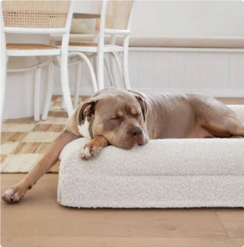 Rectangular pet sofa bed with thickened mattress in a living room setting, available in multiple sizes and colours