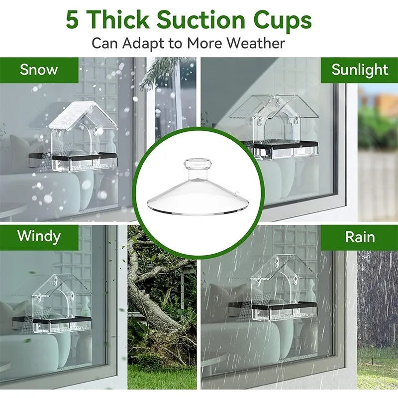 Transparent acrylic wall-mounted bird feeder with single feeding port and clear view of interior