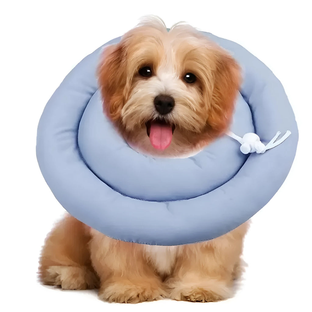 Adjustable waterproof Elizabethan collar cone for dogs and cats in blue colour with spring buckle closure