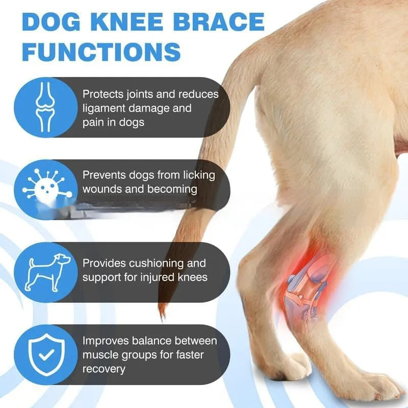 Black polyester pet leg guard for dog or cat joint injury support in sizes L, M, XL.