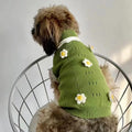 Green floral knitted dog sweater on a small dog, showing the pullover design and blossom pattern.