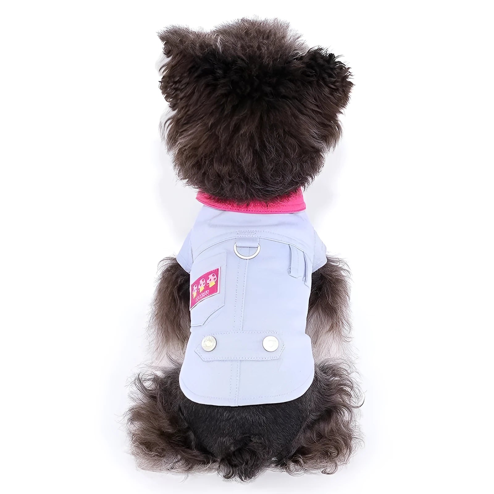 Blue and purple polyester dog vest with integrated leash ring for small dogs in summer