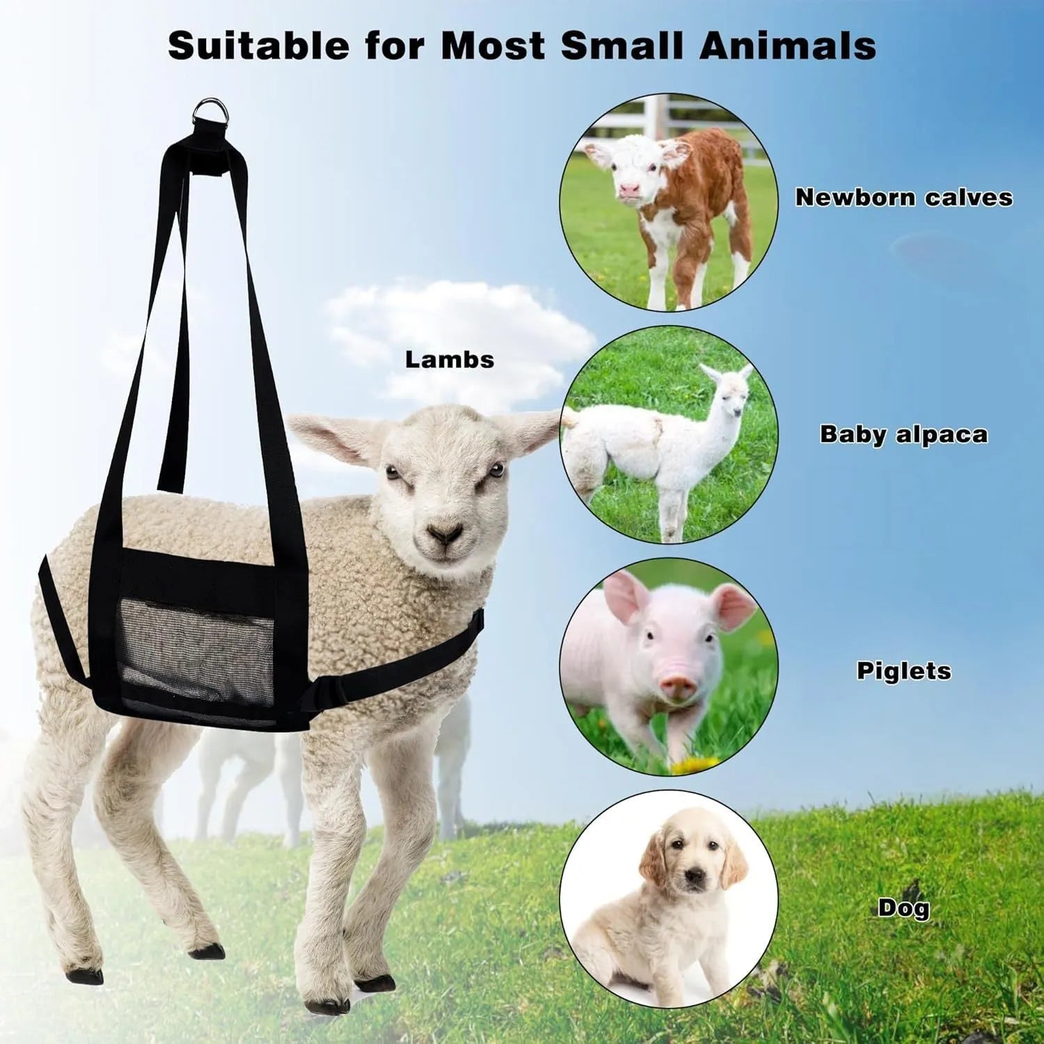 Black heavy-duty animal weighing sling measuring 35cm by 150cm for veterinary and farm use