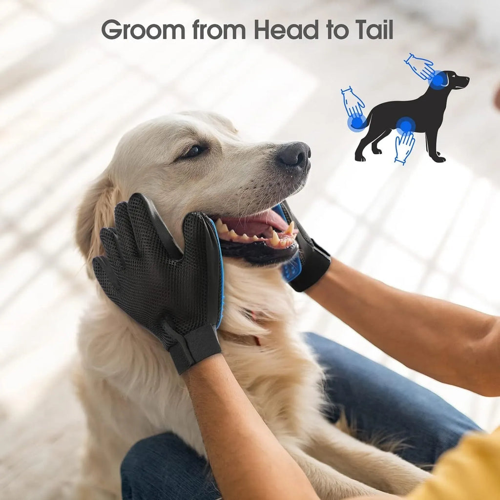 Blue pet grooming glove with silicone tips for shedding removal and gentle massage.