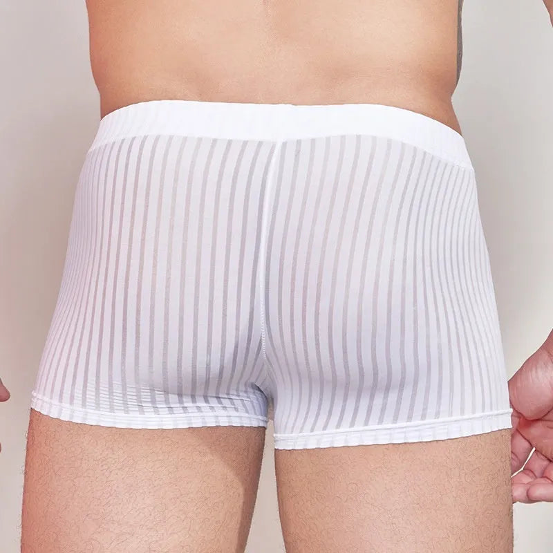 Men's thin black and white striped nylon underwear laid flat.