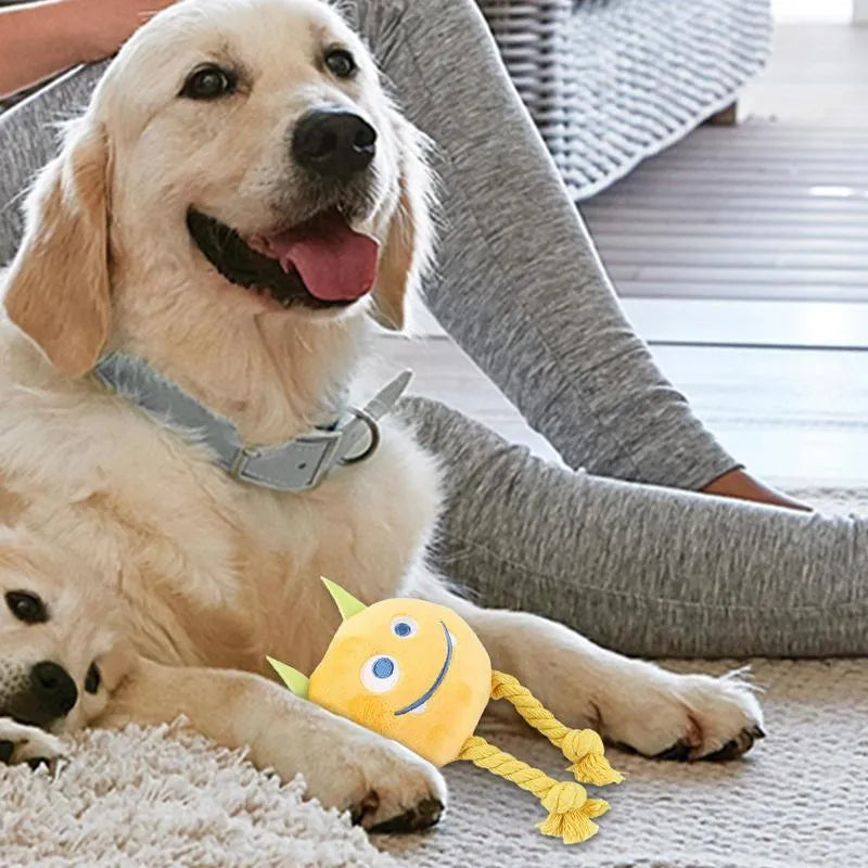 Blue and yellow cartoon dog squeaky toy with knot design made from cotton rope