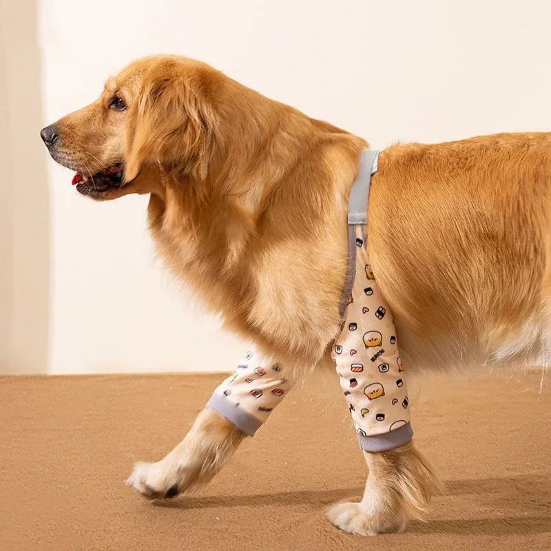 Pet knee pad anti-dirty joint protective cover in polyester for dogs, blue colour, on a dog's leg