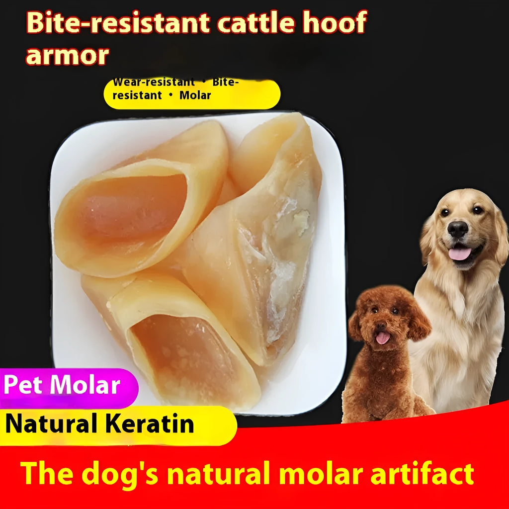 Natural cowhide dog chew toy with edible hoof shell centre in small and large size options.
