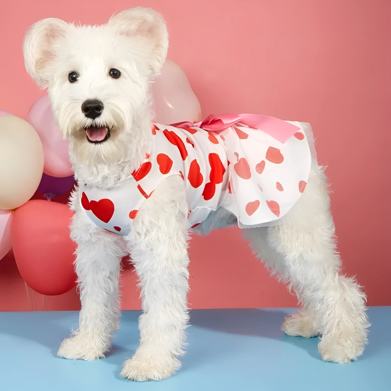 Black Valentine's Day full printed love dress for pet dog or cat in princess style made of polyester