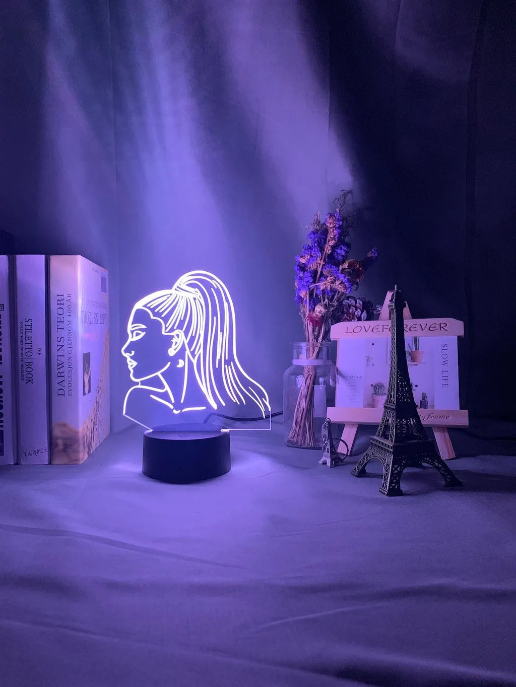 Acrylic 3D night light with European design and colourful black base