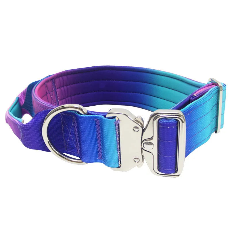 Widened gradient colour dog collar and leash set in blue purple combination with 2.5cm nylon construction