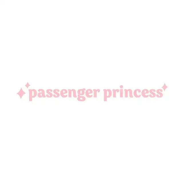 Car interior vinyl sticker with English text, 10 cm by 2 cm, in black, white, pink, or rainbow colour options.