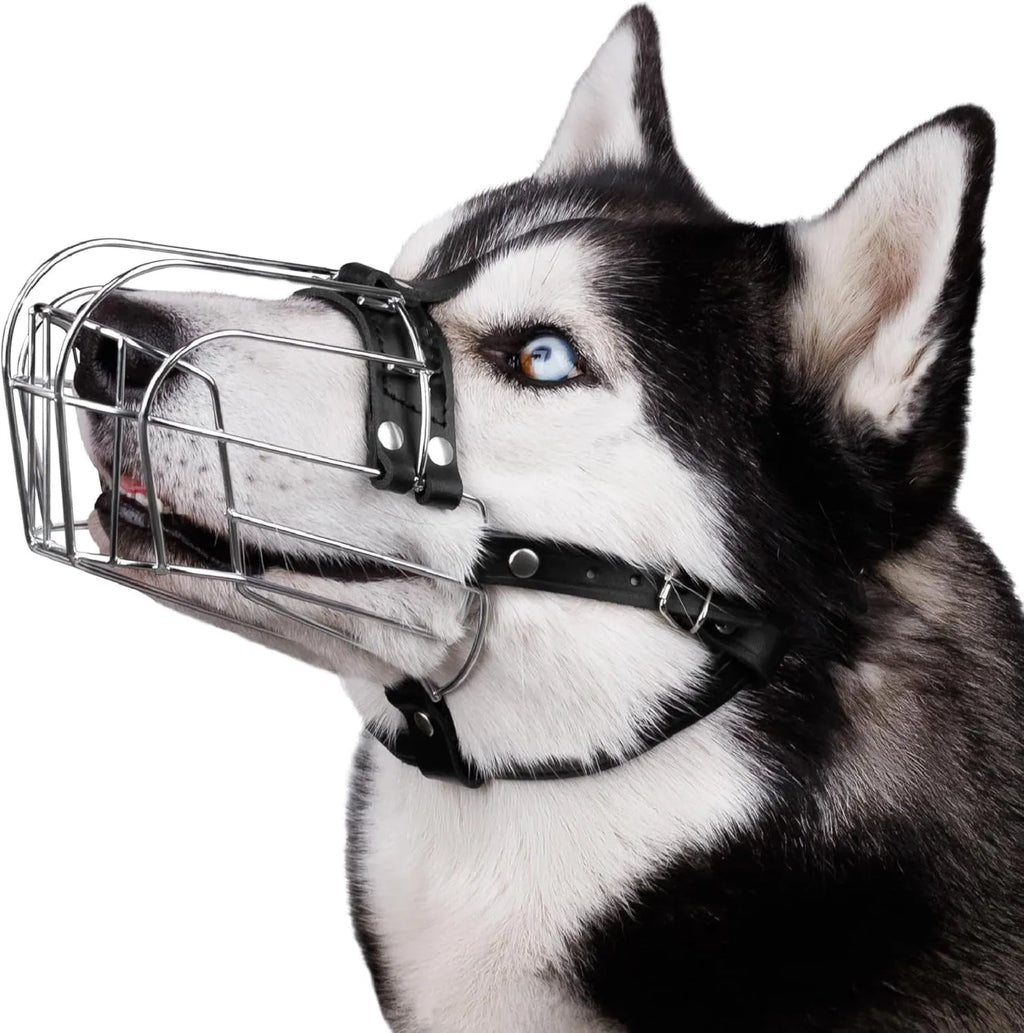 Black metal dog mouth cover for golden retrievers and German shepherds