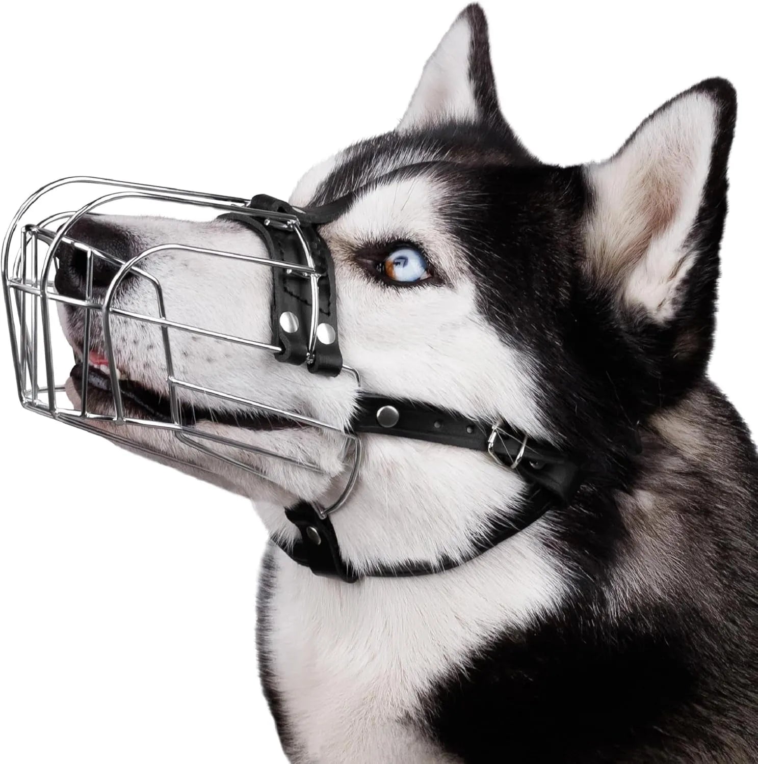 Black metal dog mouth cover for golden retrievers and German shepherds