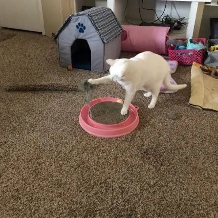 Blue cat scratcher toy with ball track, replaceable scratch pad, and mouse swatter on corrugated cardboard base