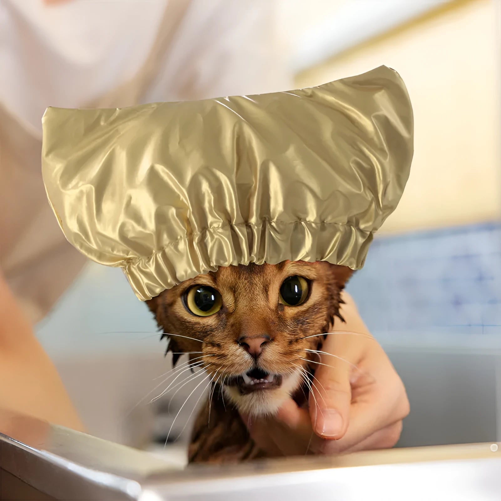 Adjustable ear-proof waterproof shower cap for pets in gold, pink or silver colours with non-woven fabric
