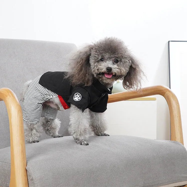 A poodle wearing thin cotton clothing, available as a skirt or four-legged pants in sizes S, M, L, XL.