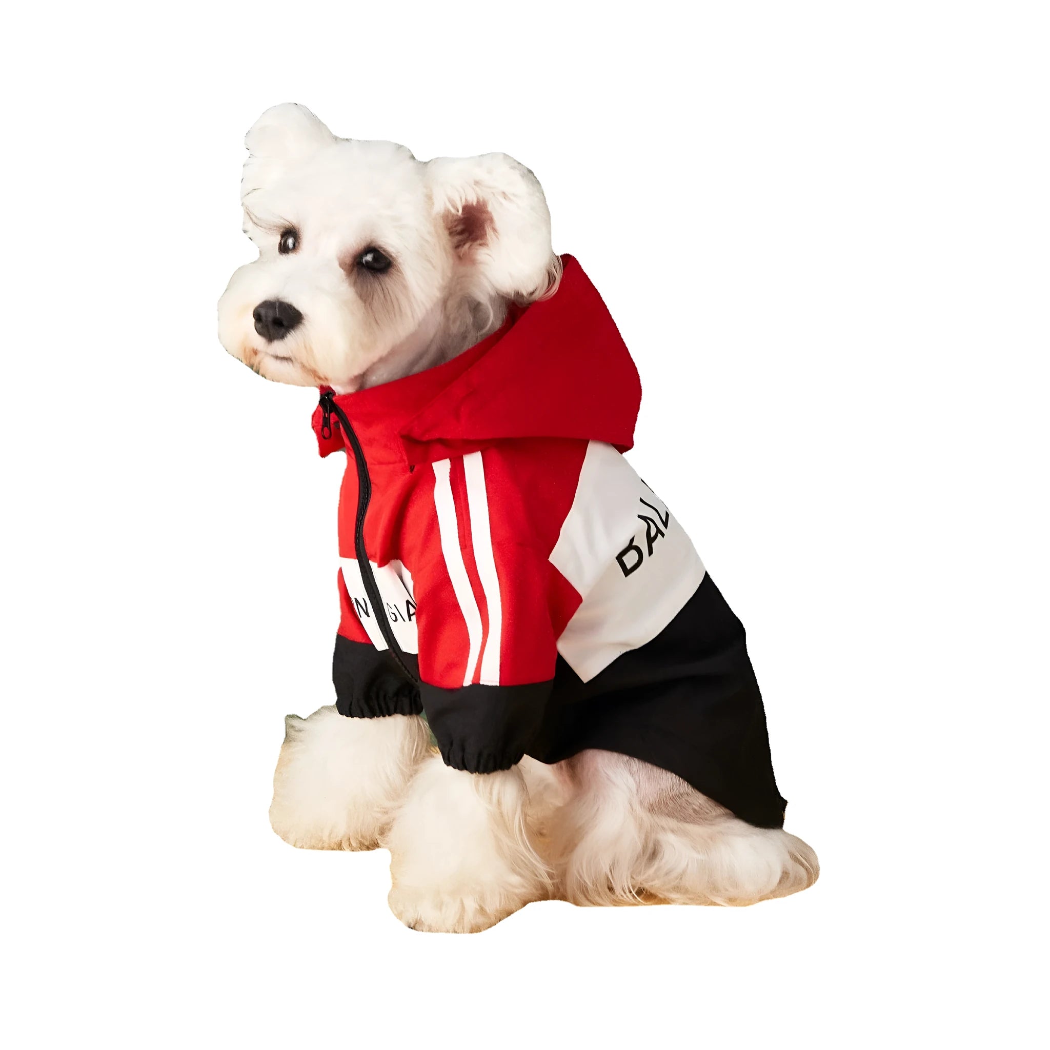 Dog waterproof raincoat jacket in polyester fabric, available in red colour