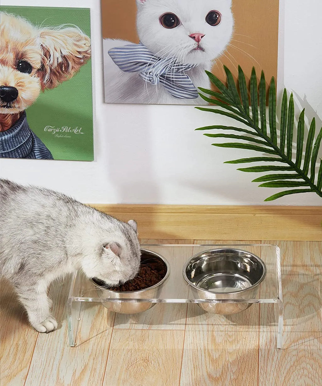 Transparent acrylic pet feeding rack for small cats and dogs with raised bowl platform, 39.5x18x10cm size