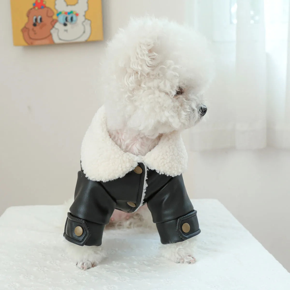 Fleece-lined padded dog winter coat in beige, black or suede colours with size chart showing measurements
