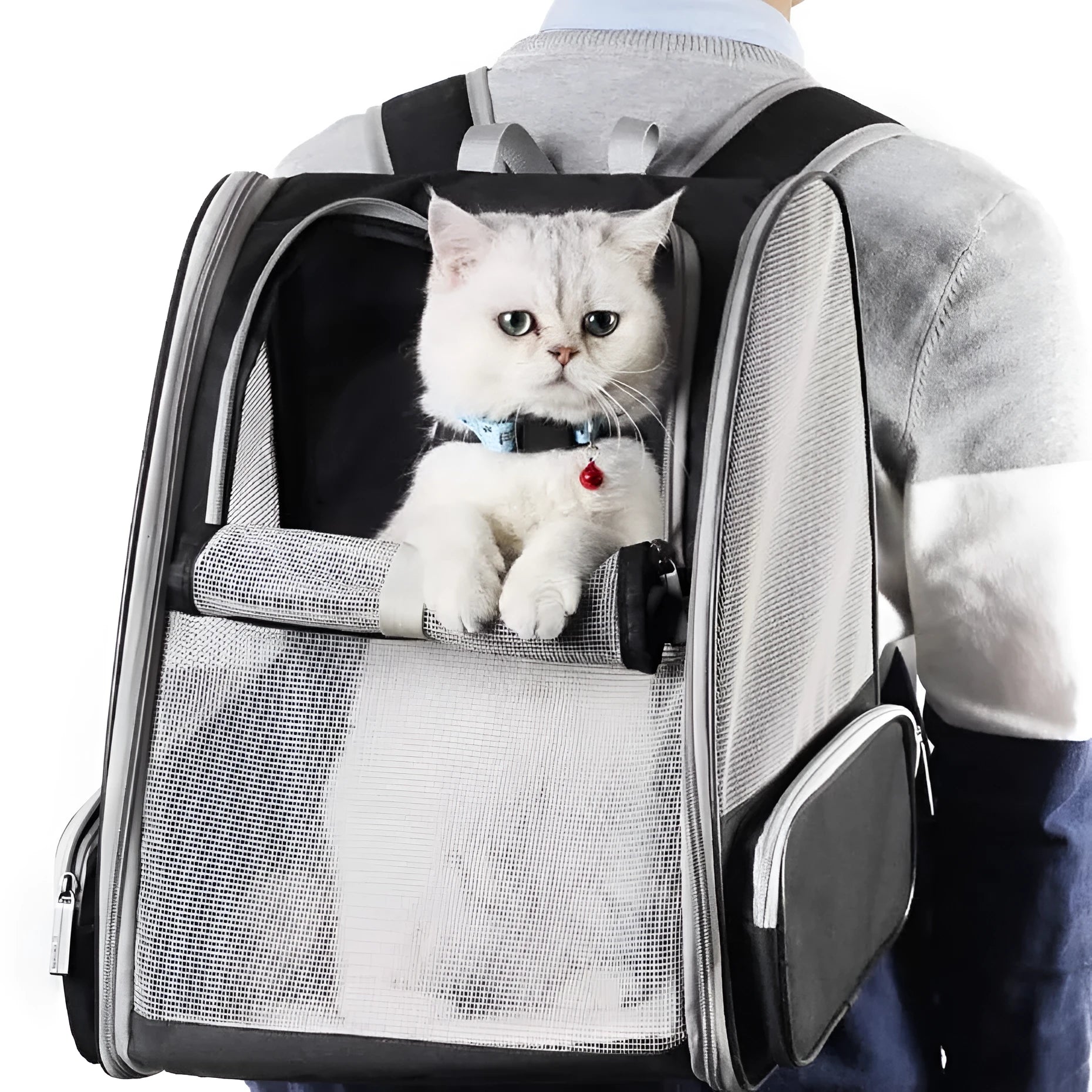 Gray Innovative Traveler bubble backpack pet carrier with PVC mesh windows, side view, for cats and dogs