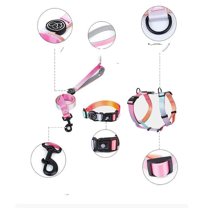 Adjustable polyester pet chest strap harness in a gradient colour, shown in S, M, L sizes.