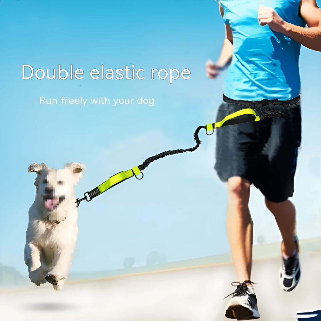 Polyester pet running belt with scalable dog lead in fluorescent green, orange or sapphire blue