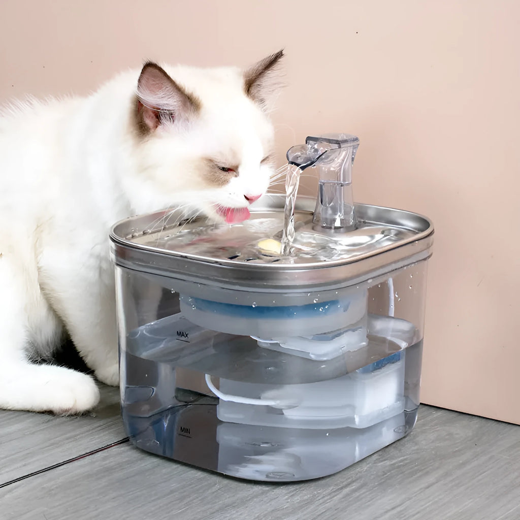 Stainless steel automatic cat dog water fountain with 2L capacity and ultra-quiet pump on white background