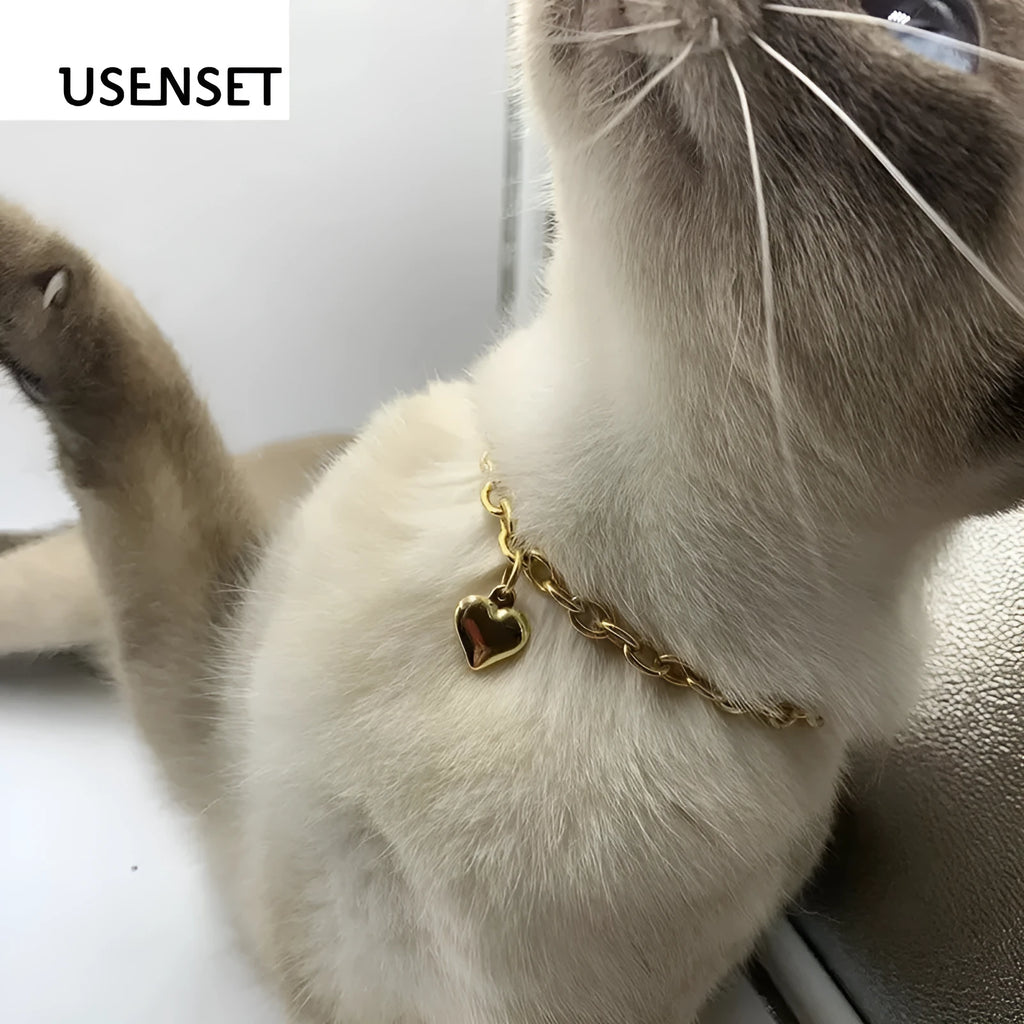 Stainless steel pet pendant necklace with love heart charm on curb chain in gold or silver finish