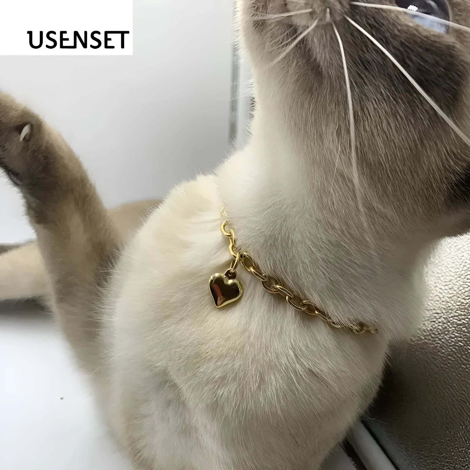 Stainless steel pet pendant necklace with love heart charm on curb chain in gold or silver finish