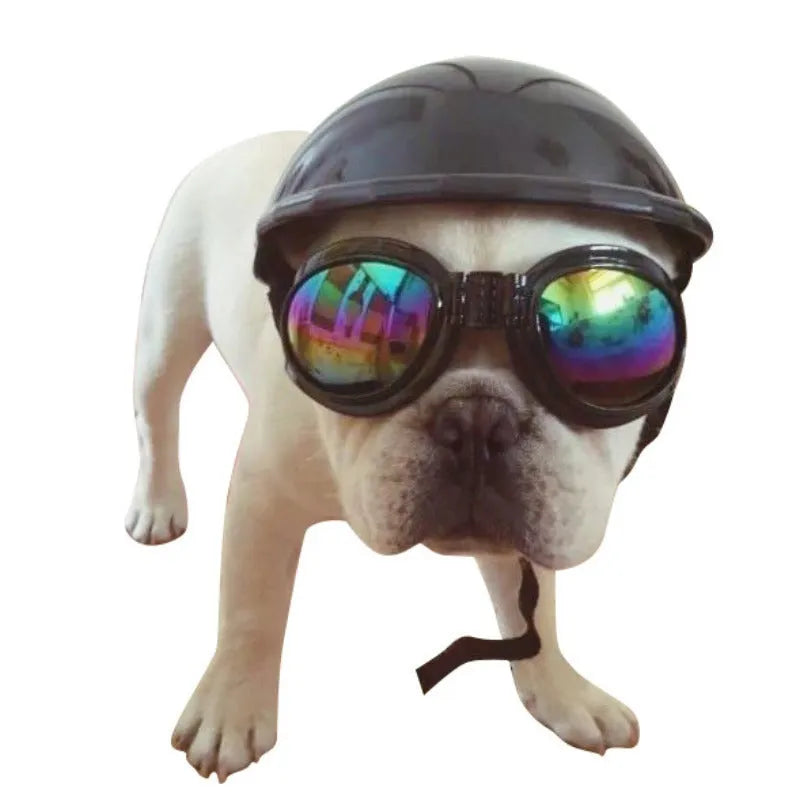 Plastic dog motorcycle helmet in pink, white, black, yellow, blue, orange or purplish red with three size options
