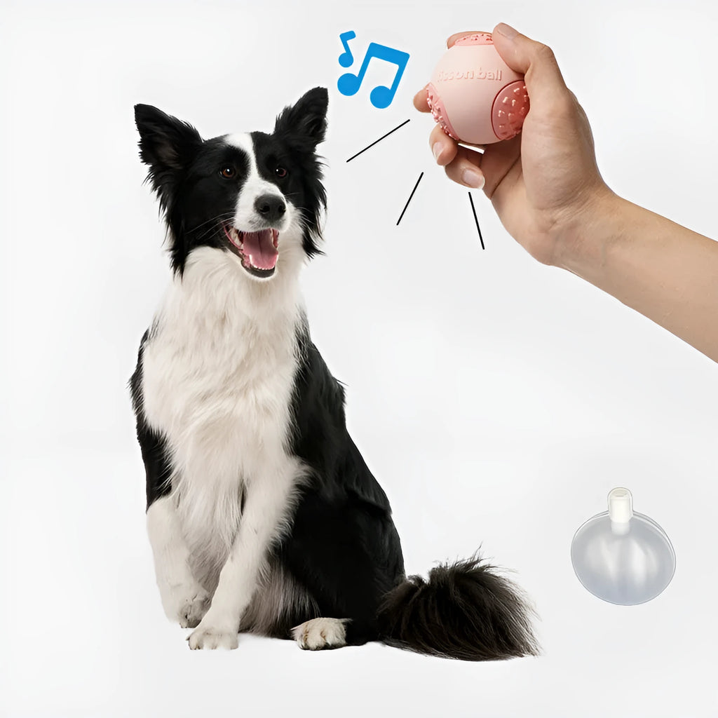 Green and pink durable interactive rolling ball dog toy with 64mm diameter for small medium dogs