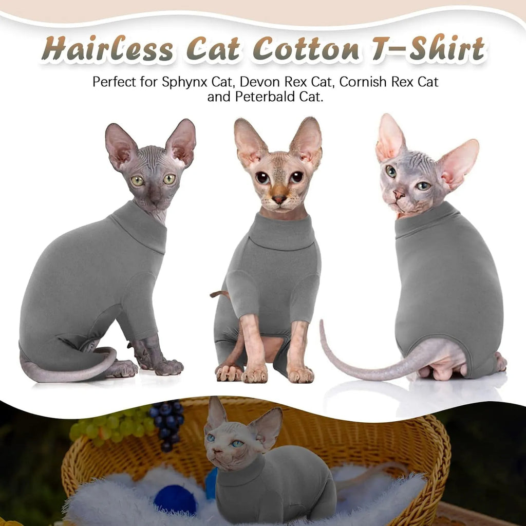 Hairless cat wearing grey turtleneck sweater with sleeves and leg openings