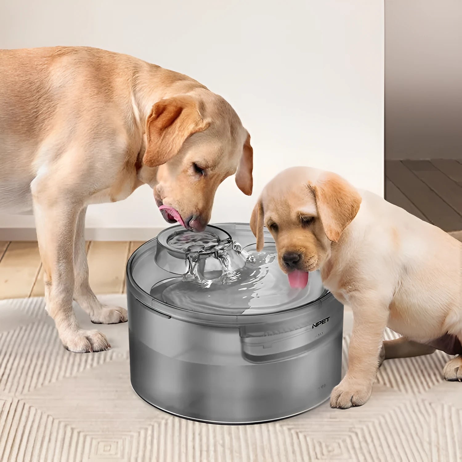Automatic pet water dispenser with flowing water circulation system for cats and dogs