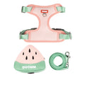 Green pet backpack and matching anti-slip chest strap set for a dog on a white background