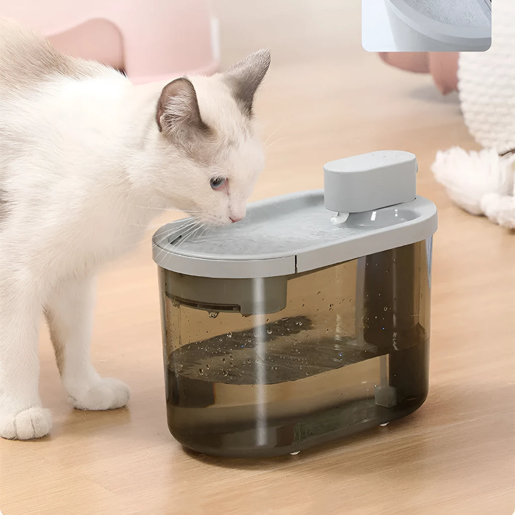 Automatic plastic drinking bowl for cats with infrared sensor, grey colour, on floor