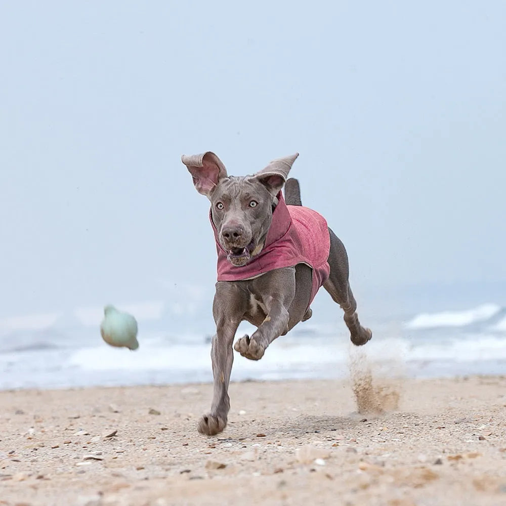 Cold-proof dog vest in rose red, light blue, or grey polyester for medium to large dogs