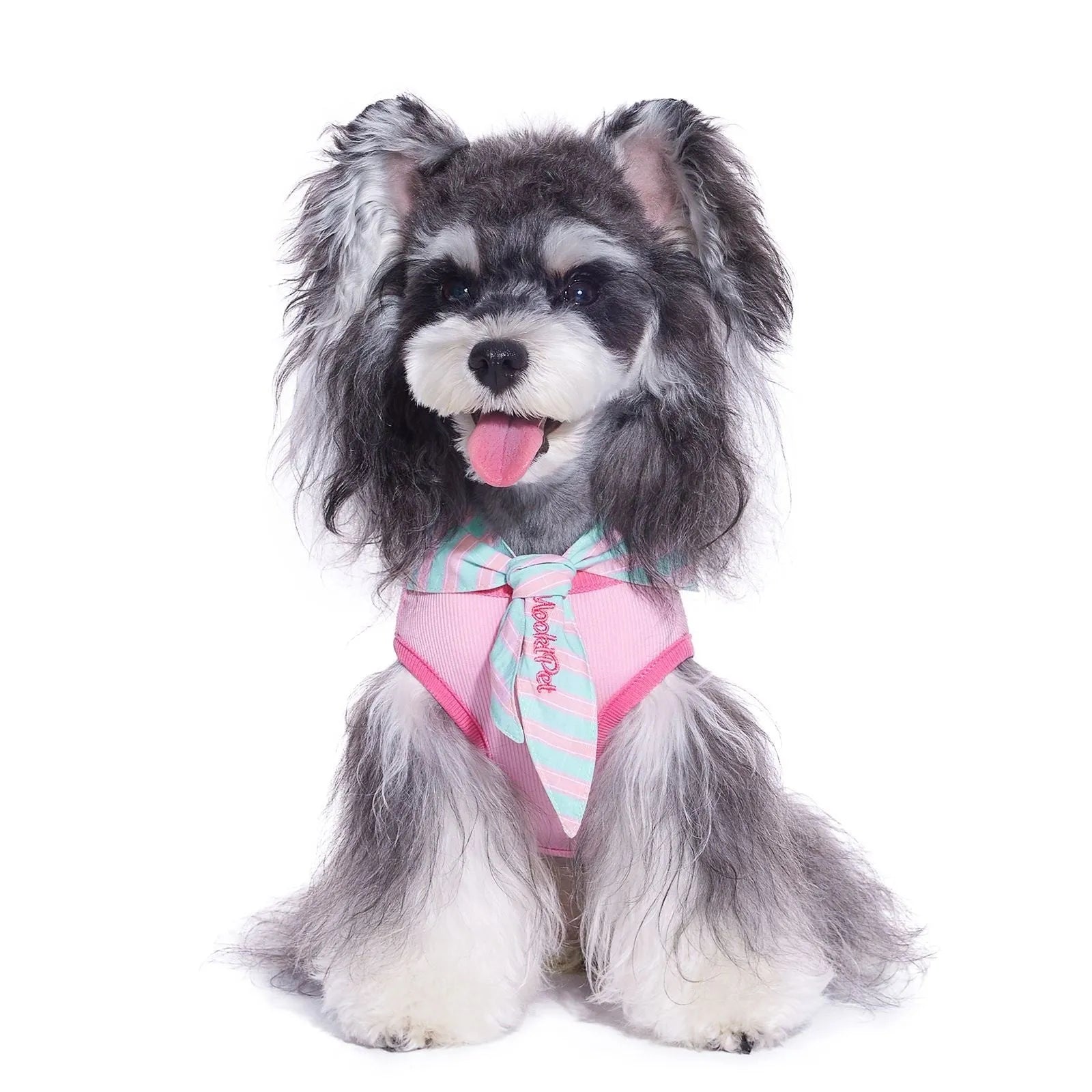 Pink pet cloak scarf vest set on a pet