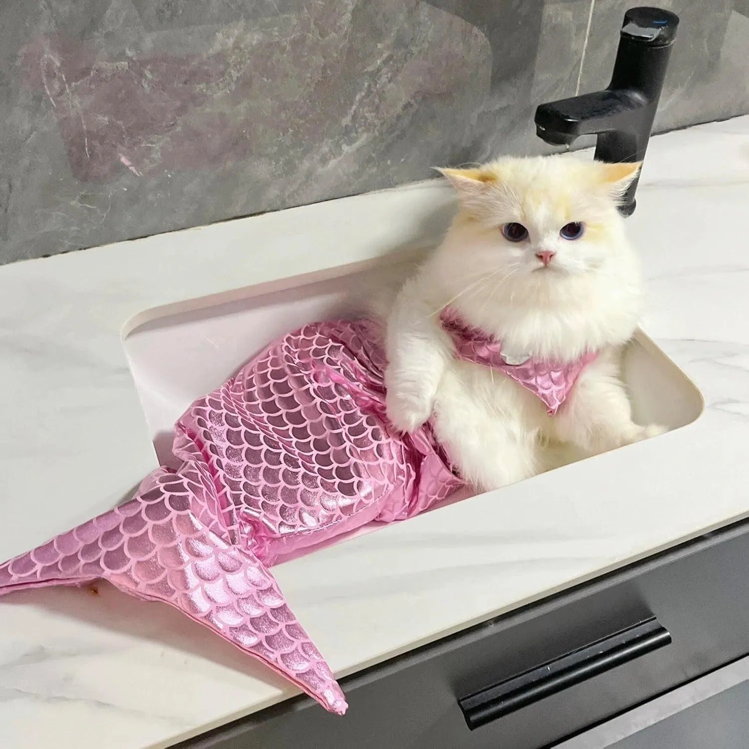 Blue mermaid costume on a small cat showing the long fishtail, scale pattern, and adjustable chest strap.
