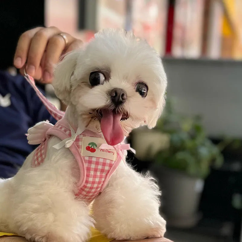 Pink cotton chest and back harness with hand-holding rope for a small dog on a white background.