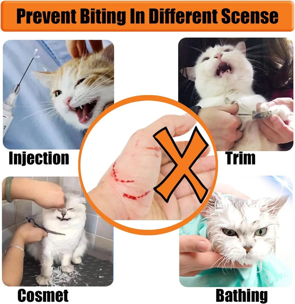 Transparent cat anti-bite muzzle with cotton construction and central breathing hole in S or M size